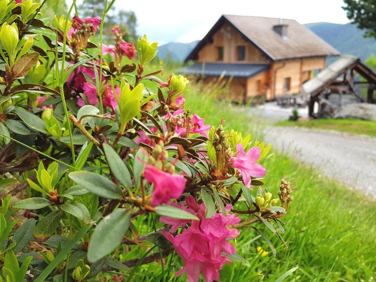 Almhuette Kristabauer Villa Predlitz Bagian luar foto