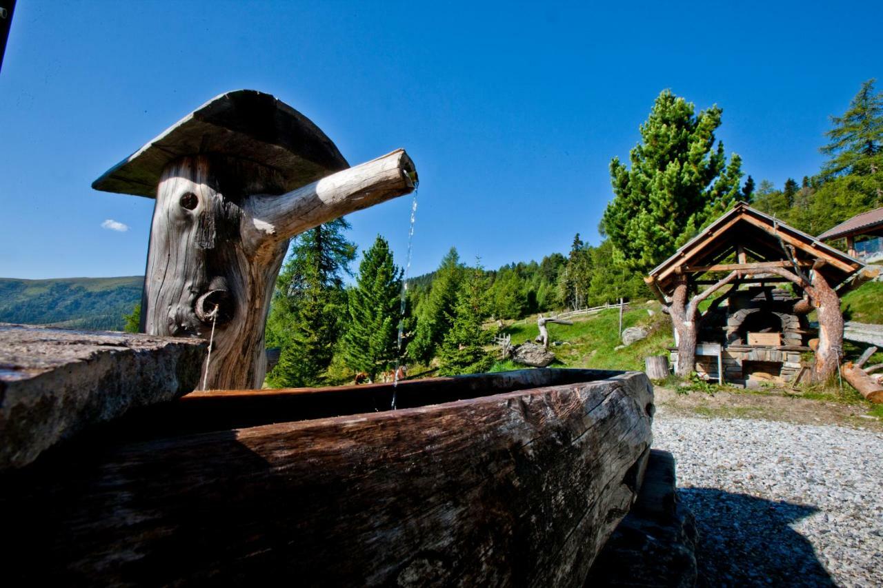 Almhuette Kristabauer Villa Predlitz Bagian luar foto